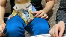 uper_video_1789303715297210