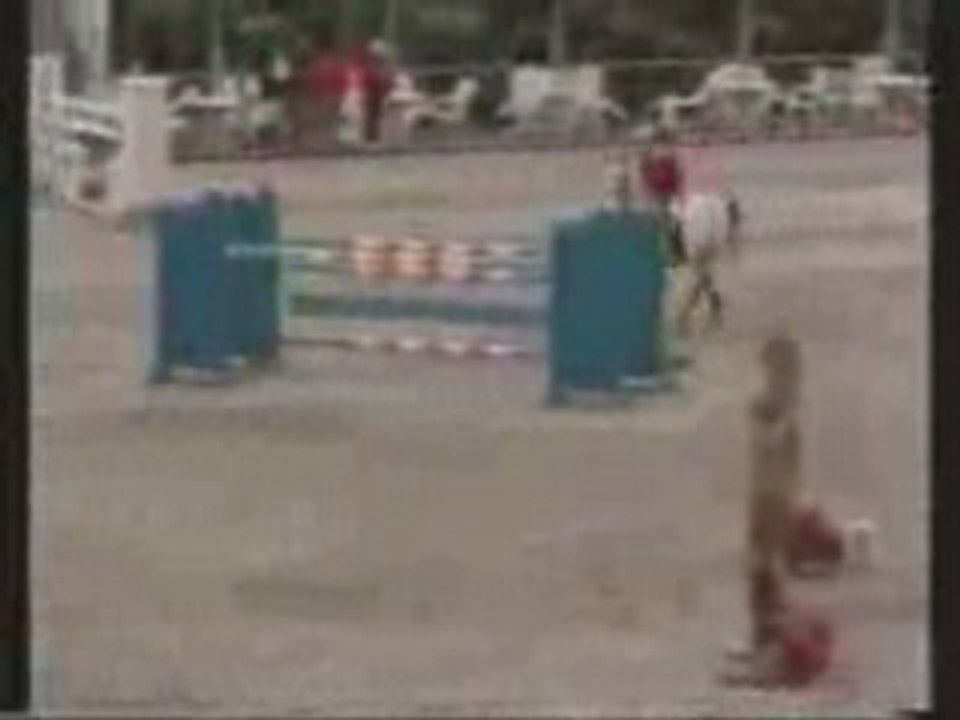 11 ans par levantos