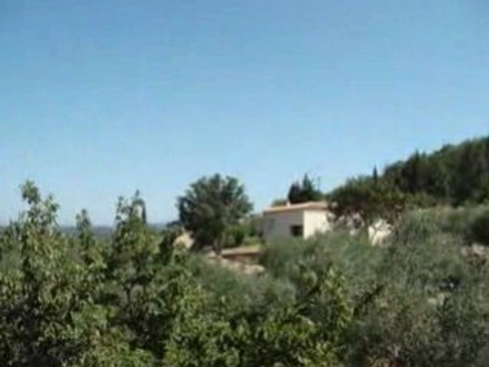MOV09039
