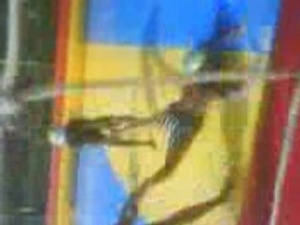 Foot sav
