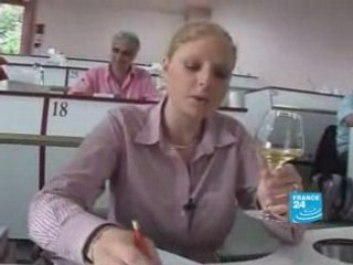 A swedish student in French vineyards