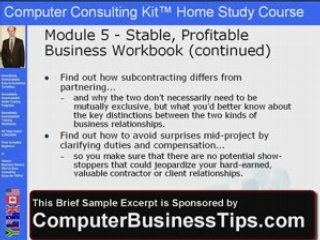 IT Consulting Business Partnering & Subcontracting ...