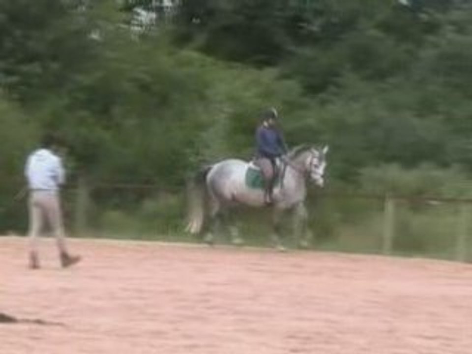 Seance plat 13072008