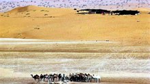 قصة وقصيدة الفارس الشيخ حجرف الذويبي الحربي