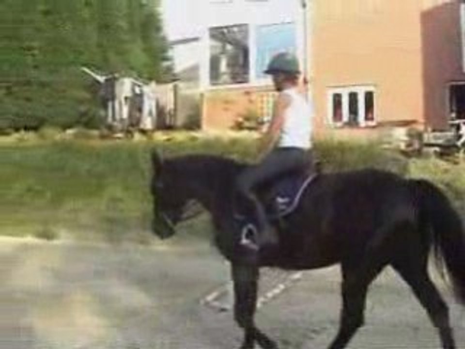 Rasta du houmier essai