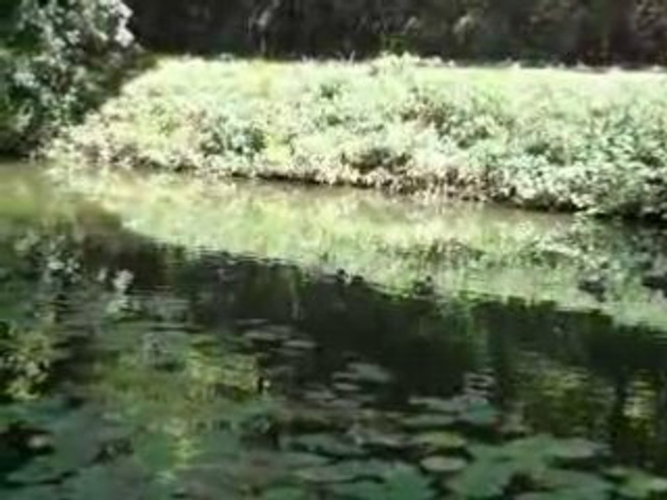 Le terrain de camping de Lusignan (3)