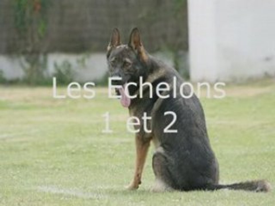 Saint-Lyé Ech 1 et 2