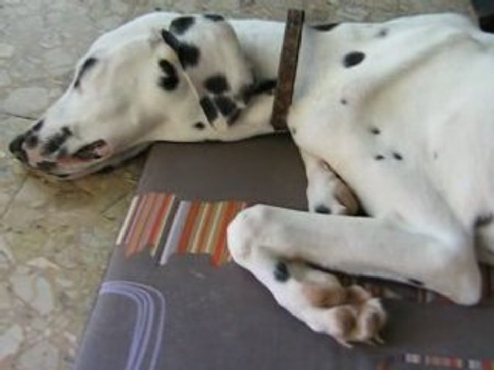 2005_0208lenachezjeannie0005