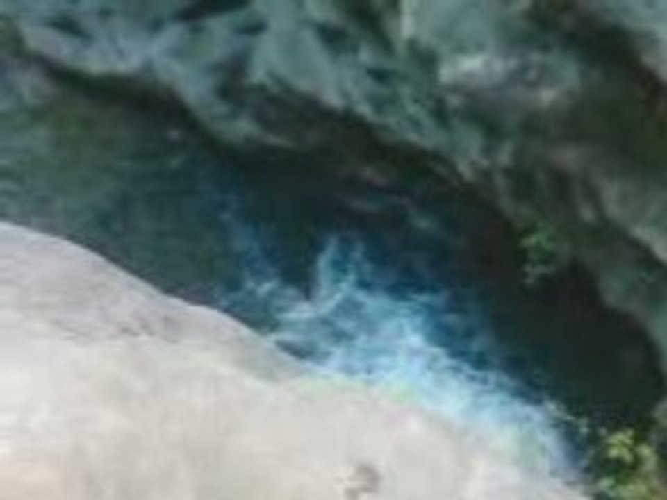 VID004