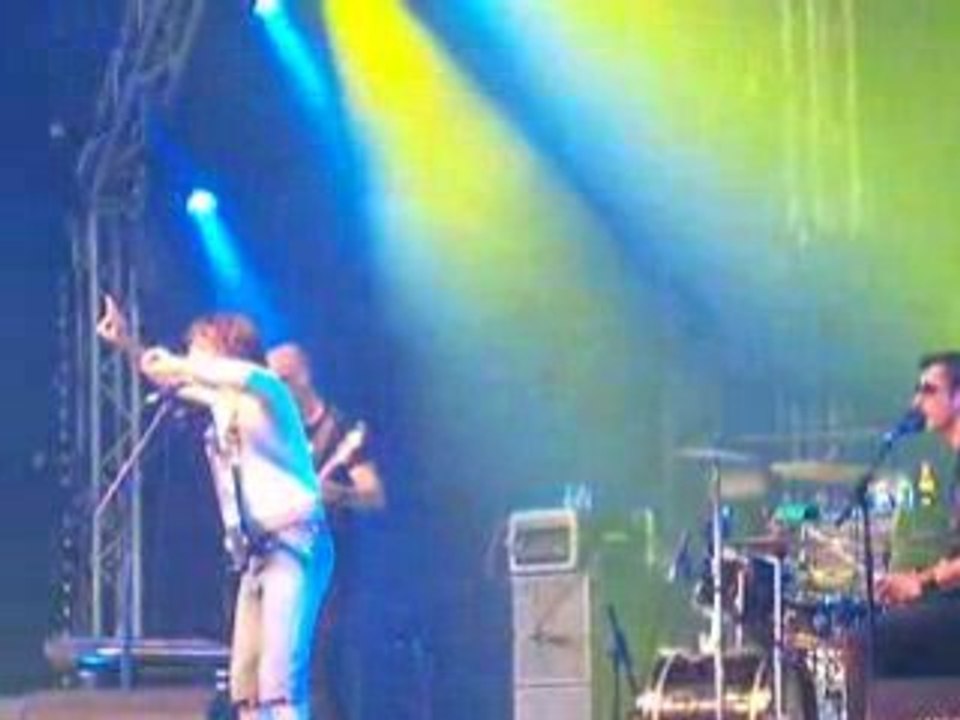 Didier Super - Live @ Dour 08 (4)