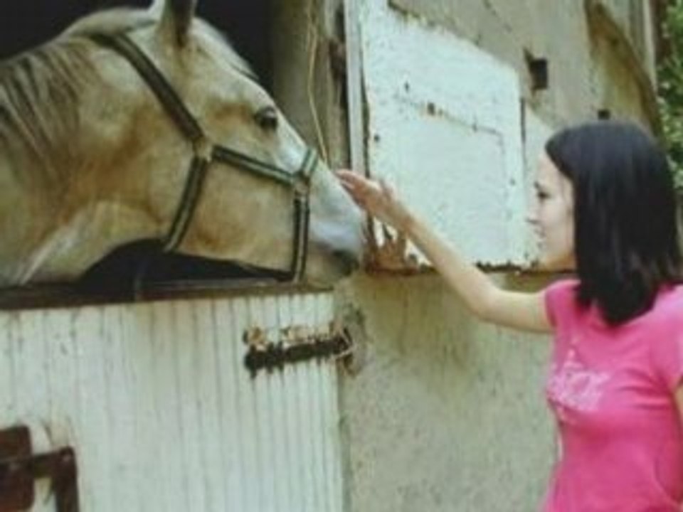 Complainte du petit cheval blanc paul fort