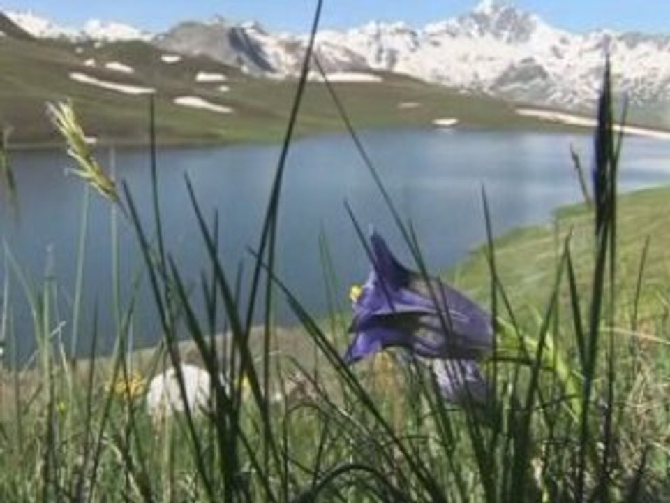Empoissonnement du Lac de l'Ouillette - Val d'Isère 2008 -