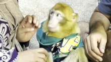 uper_video_1789378275493757