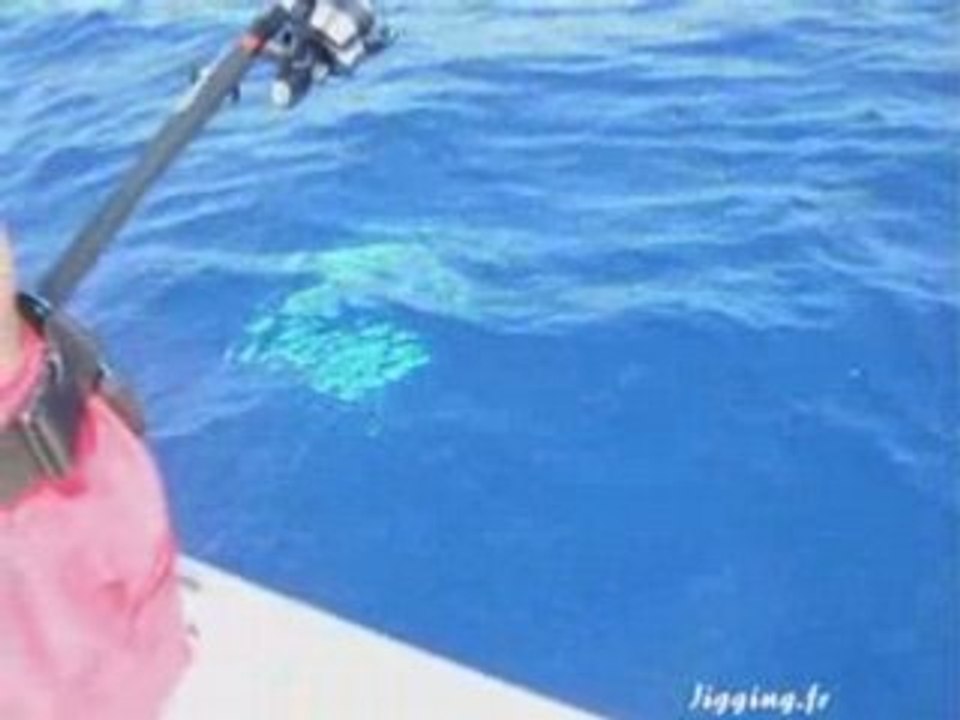 Jigging : Jig au seriole