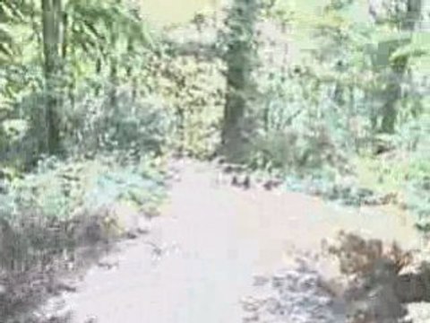 Sortie VTT en forêt de Vélizy le 30.07.2008