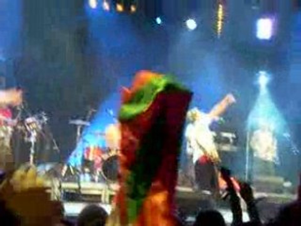 Concert manu chao a bayonne