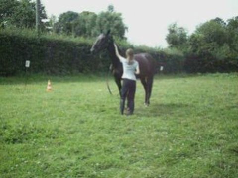 Plouf longe et séance de saut à cru !!