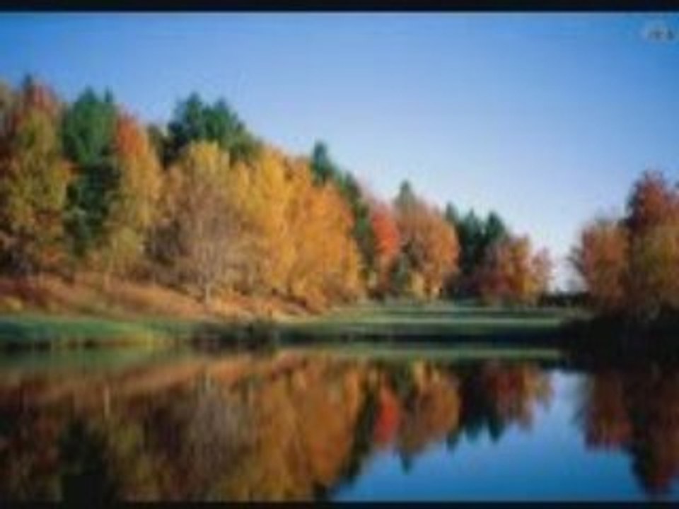 Elektro Bağlama Mehmet Demirtaş - Dert Çekene