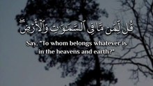 ﴿ قُلْ لِمَنْ مَا فِي السَّمَاوَاتِ وَالْأَرْضِ قُلْ لِلَّهِ كَتَبَ عَلَىٰ نَفْسِهِ الرَّحْمَةَ ﴾
