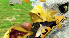 Eagle Gets A 3D Printed Beak