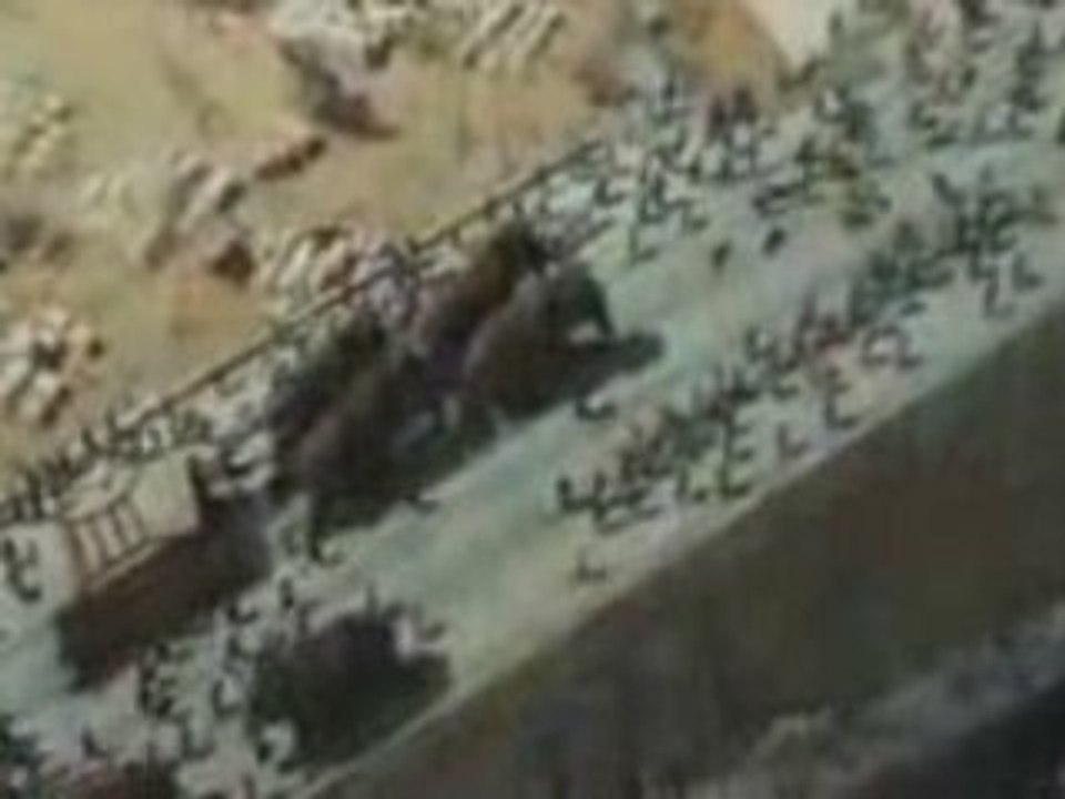 10,000 BC Bande Annonce