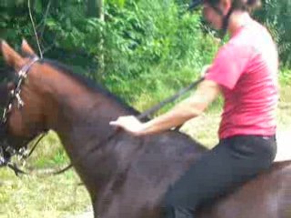 hihi la monte sur ouin
