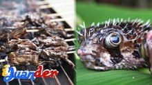Palakang kengkeng at porcupine fish na ginawang burger patty, kaya mo bang tikman!? | I Juander