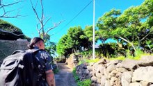 🦌 Duermo en la isla en ruinas donde solo quedan ciervos.