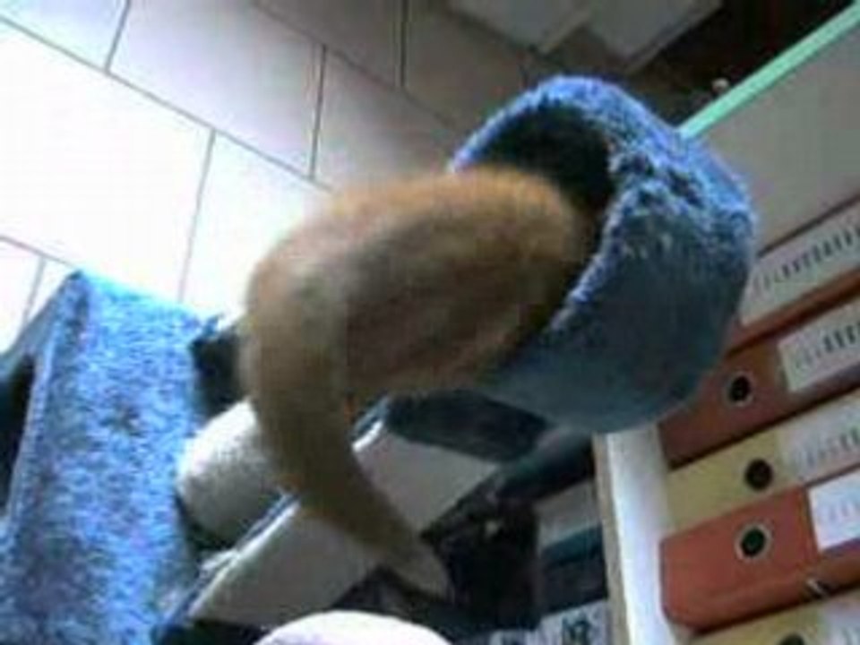 CLIP1728