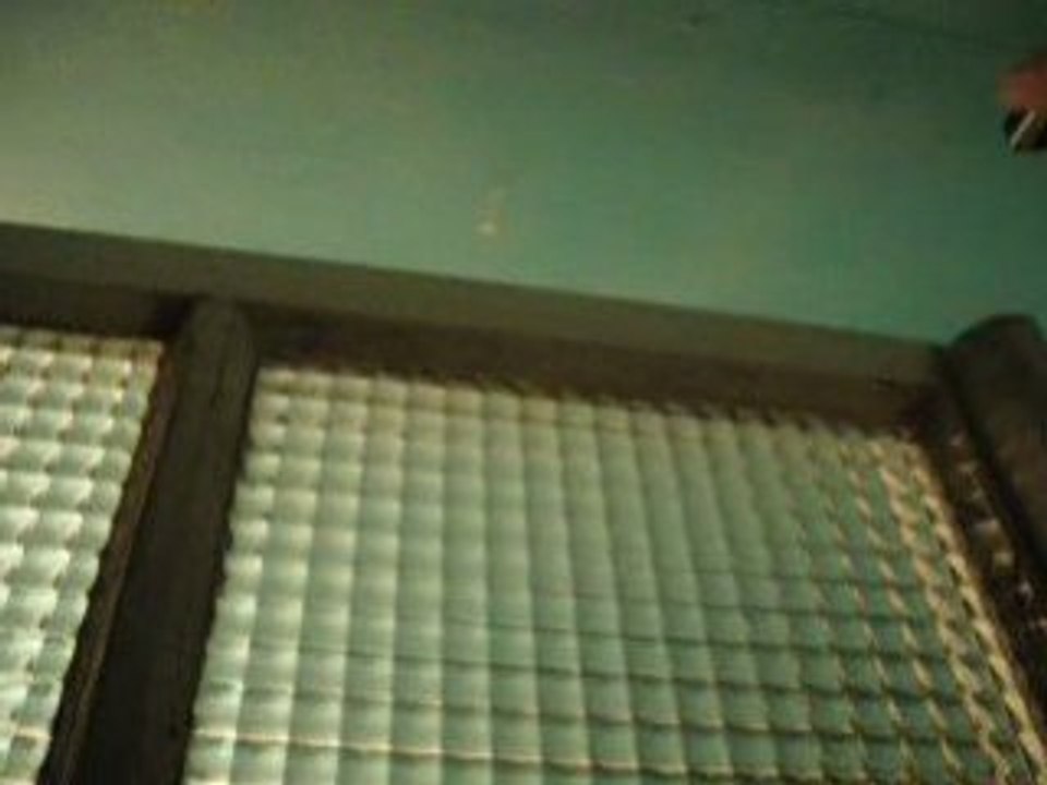 nico aux chiotte (le yéti)