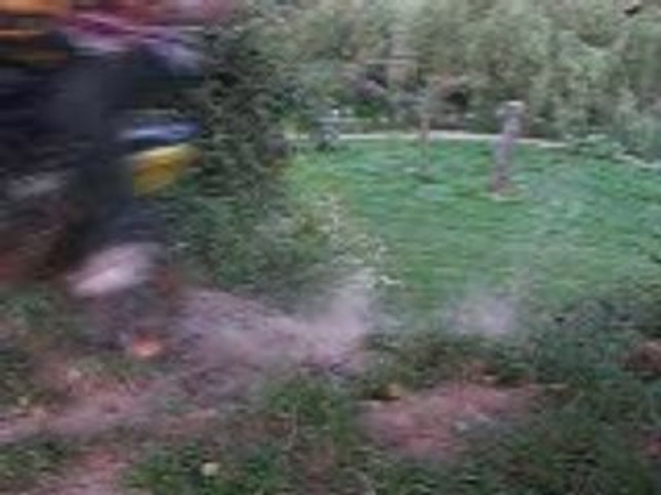 MVI_0010
