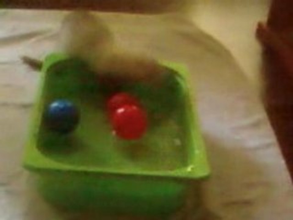 Peluche furet aquatique !!