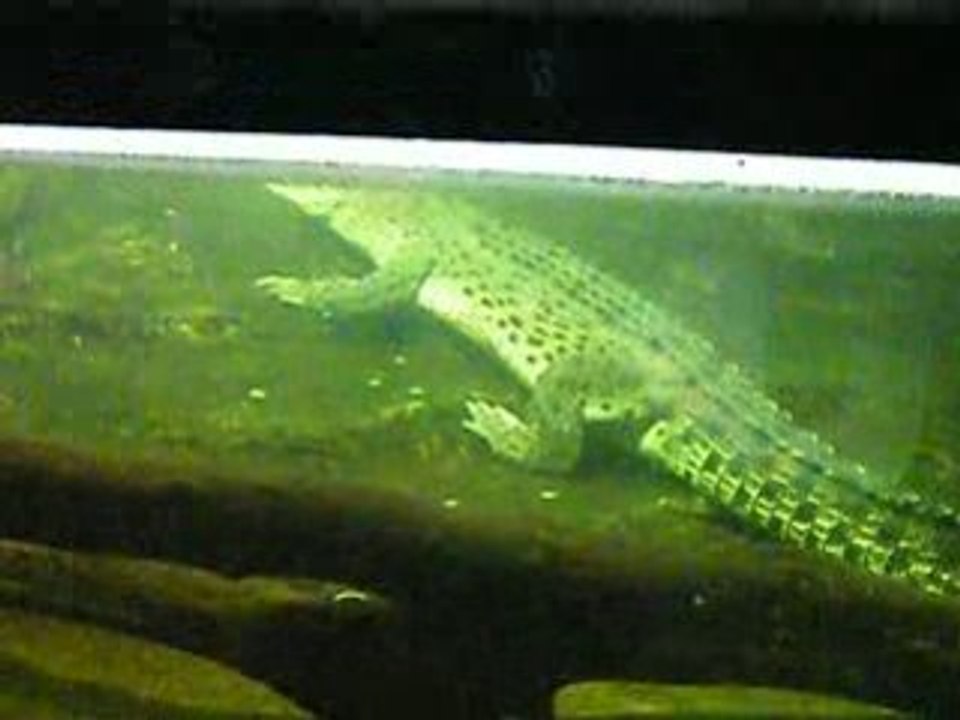 IMGP0195