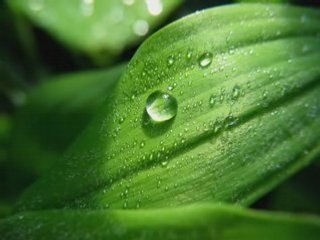 NIKOGA NQMA DA ZNAESH