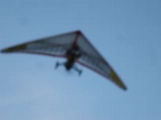 31-07-08 visite des suisse 067