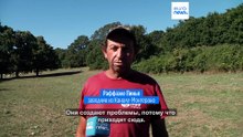 "Волчья тревога" в Италии: реальные цифры и как с этим жить