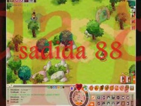 Dofus Brumaire : Wearpon pvp