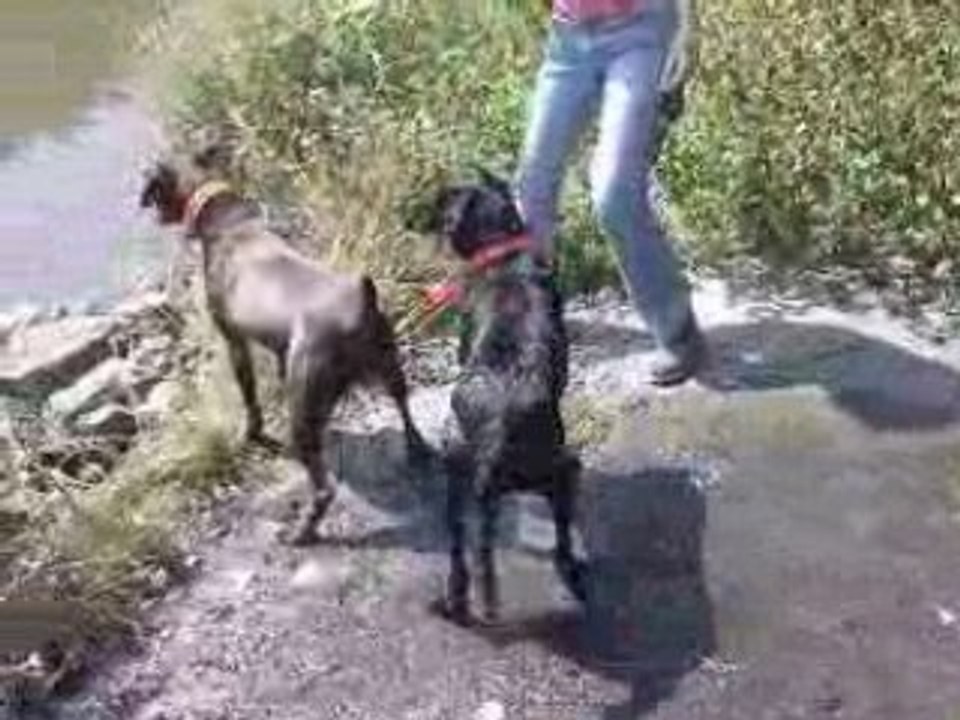 Vidéo-0009
