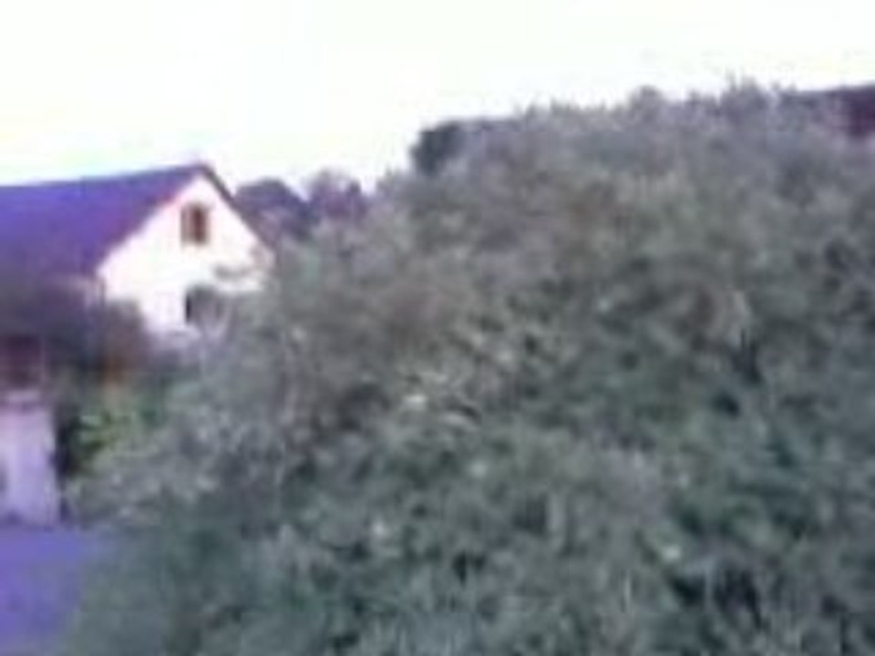 Vidéo0016