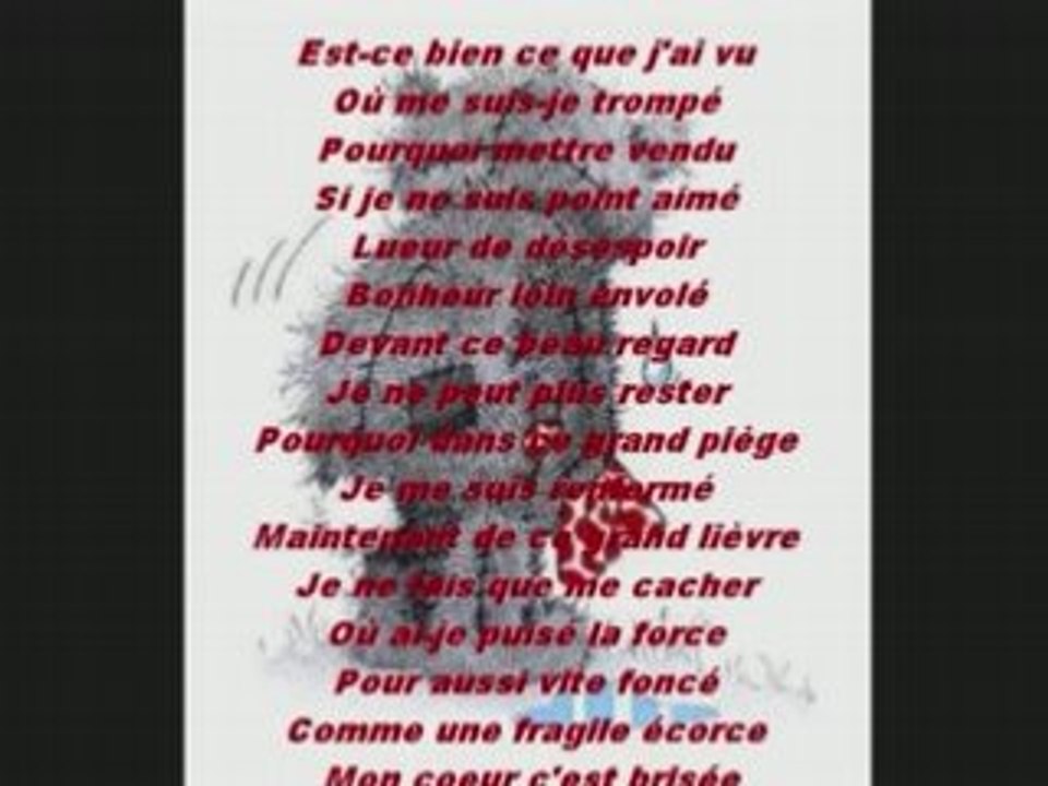 Cat et xav leur histoire