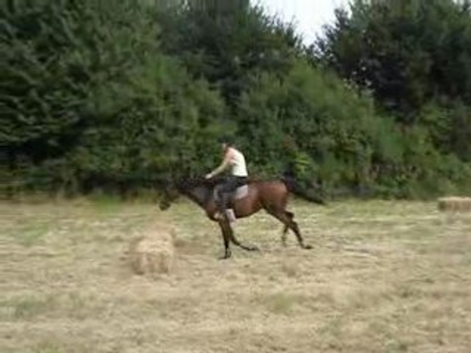 Chapeau Melon JUMP!