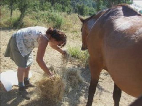 CHACHOU VAVA MOI JALEOSO