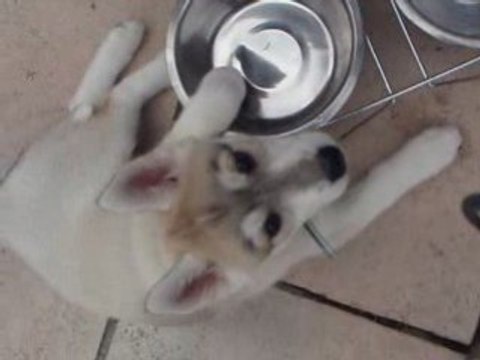 Photo du nouvel appareil photo 936