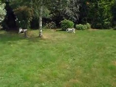 Photo du nouvel appareil photo 935