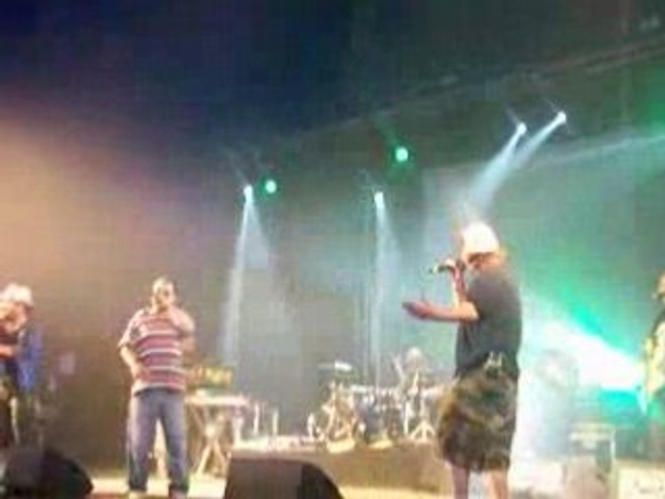 Svinkels - Live @ Dour 08 (4)