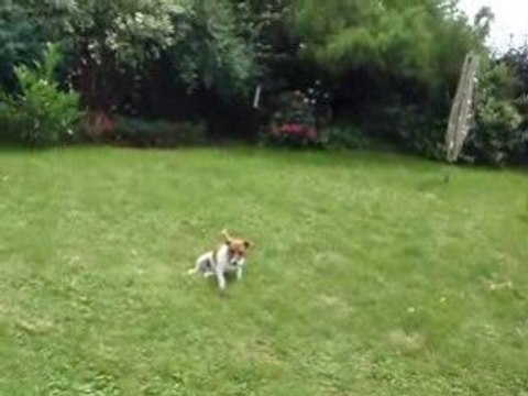 Photo du nouvel appareil photo 934