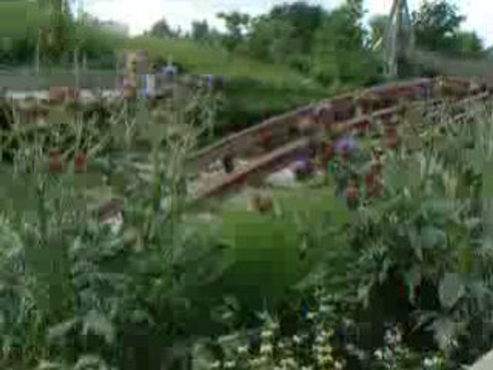 Plopsaland 2008 007