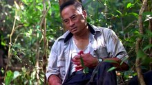 ดงพญาไฟ   2002