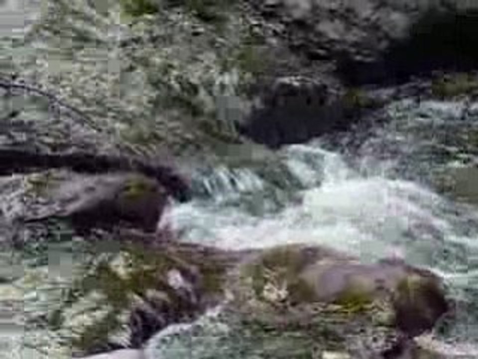 ESTI VAL - Camp 15-17 2008 - Rivière