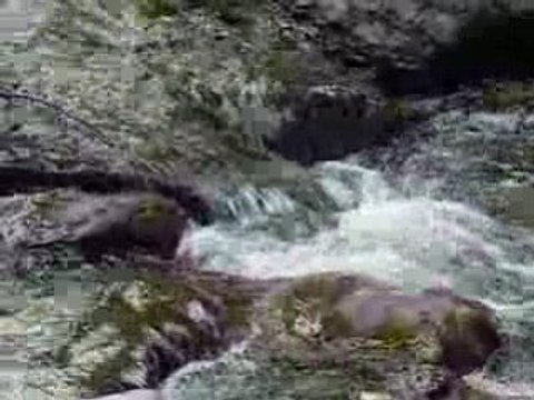 ESTI VAL - Camp 15-17 2008 - Rivière